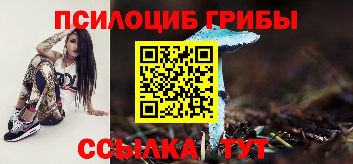 Ульяновск  Галлюциногенные грибы Psilocybine cubensis  Вход с VPN 